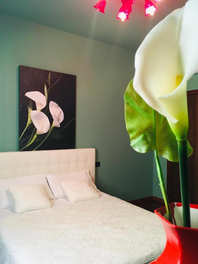 Casa Elisabetta Apartment Peschiera del Garda Ngoại thất bức ảnh
